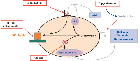 mechanism of antiplatelet drug